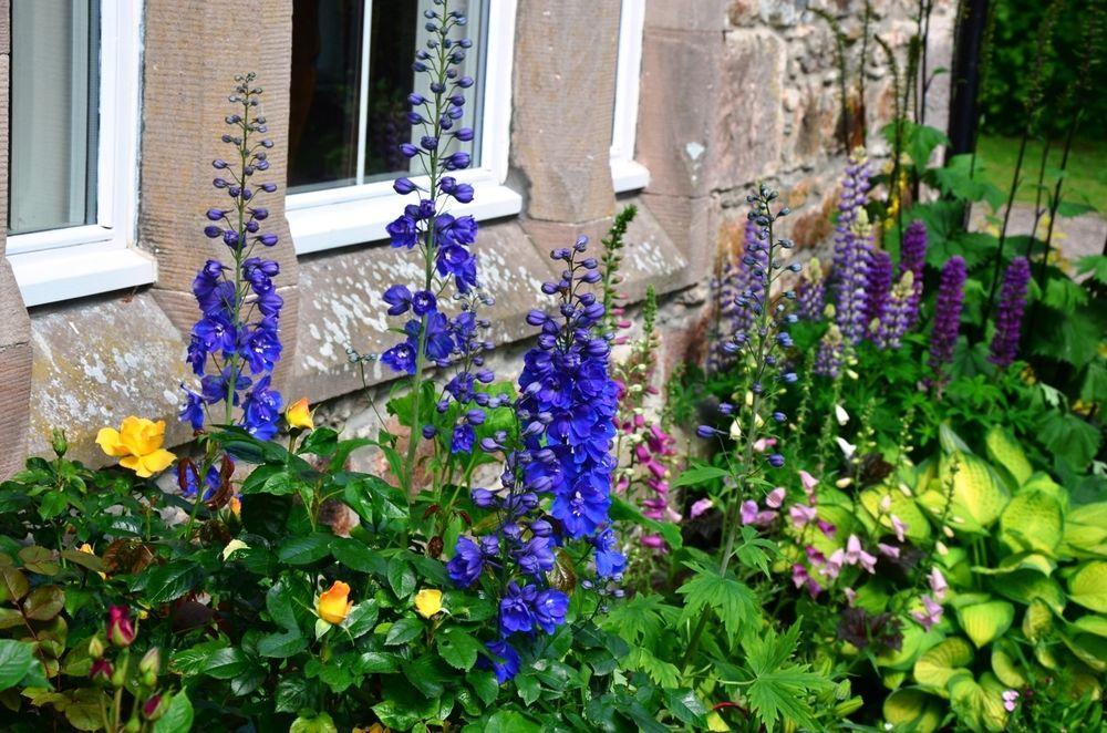 Cardhu Country House Guest House Aberlour Exterior photo